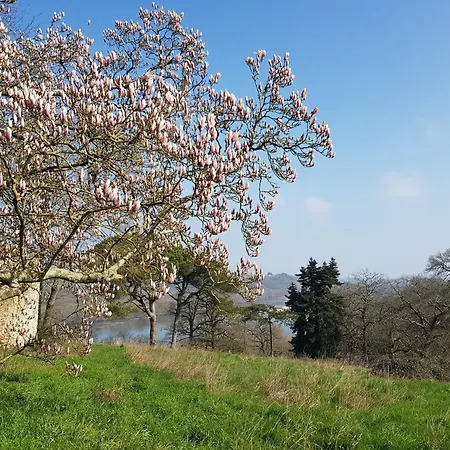 Chateau De La Coliniere - Vue Sur Loire * Oree-d'Anjou